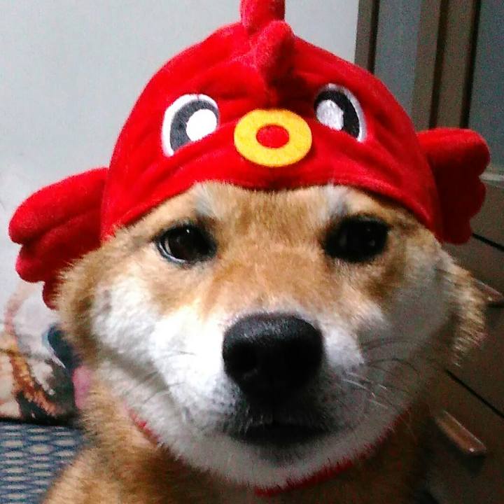 6548df6a af1e 4891 831c e4bc1e313e82