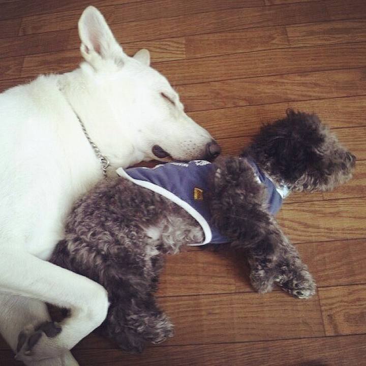 6548e974 2f71 4624 a155 f0bafd8a6d95