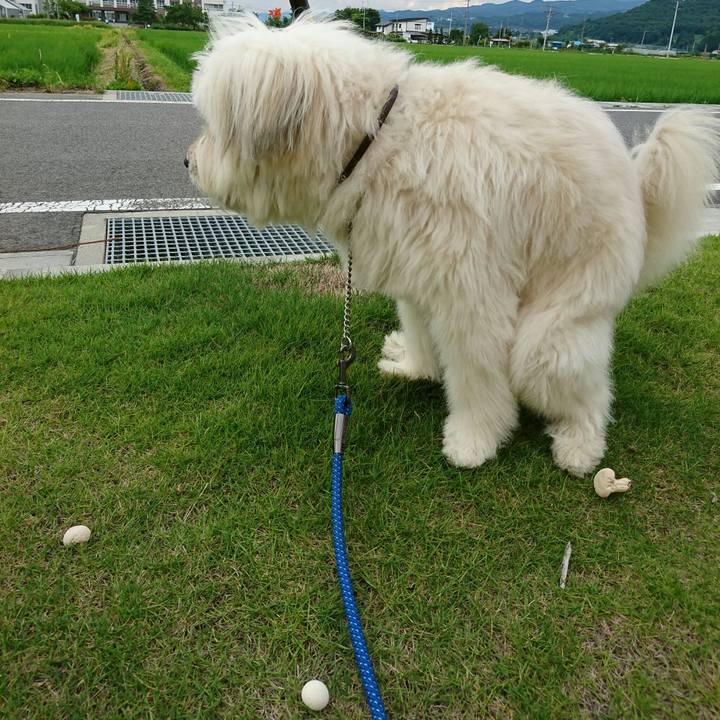 65494c8c e990 43a0 91c6 bff5a778ad4b