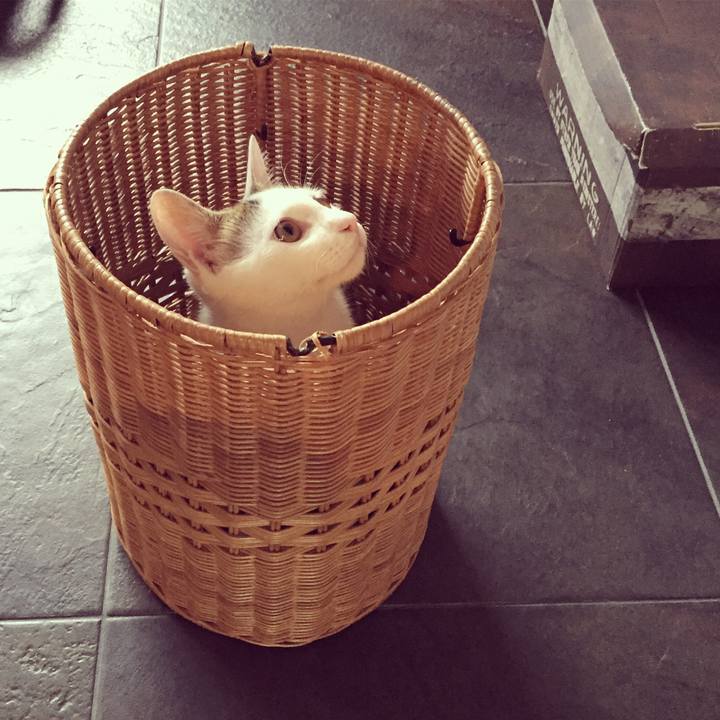 654a0e26 77a2 4391 96ce 8f462721ca72