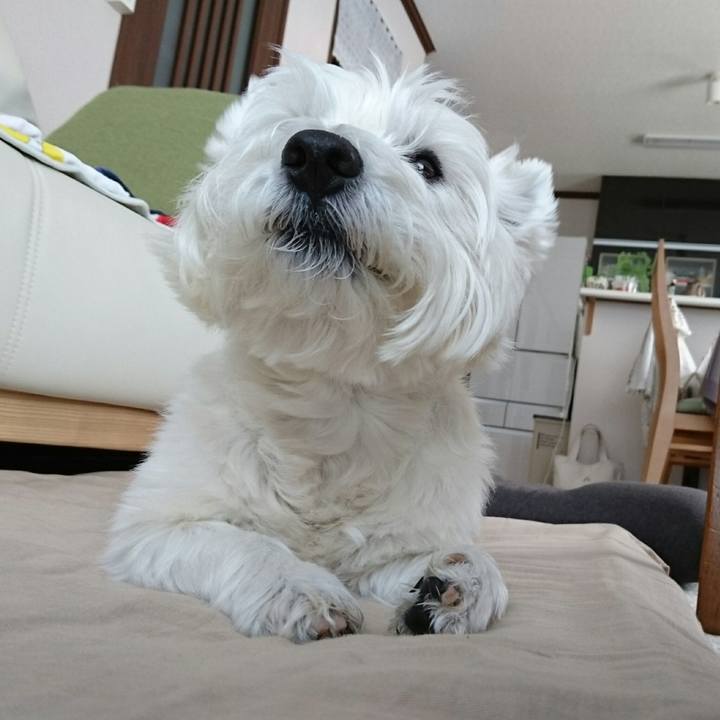 654a1449 7288 4b71 baf7 e721dd2ab392