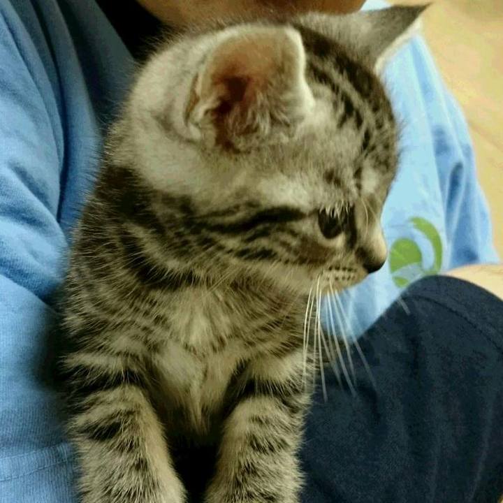 654a8d3d ffd7 469c 8ae5 08fbd4b34b5c