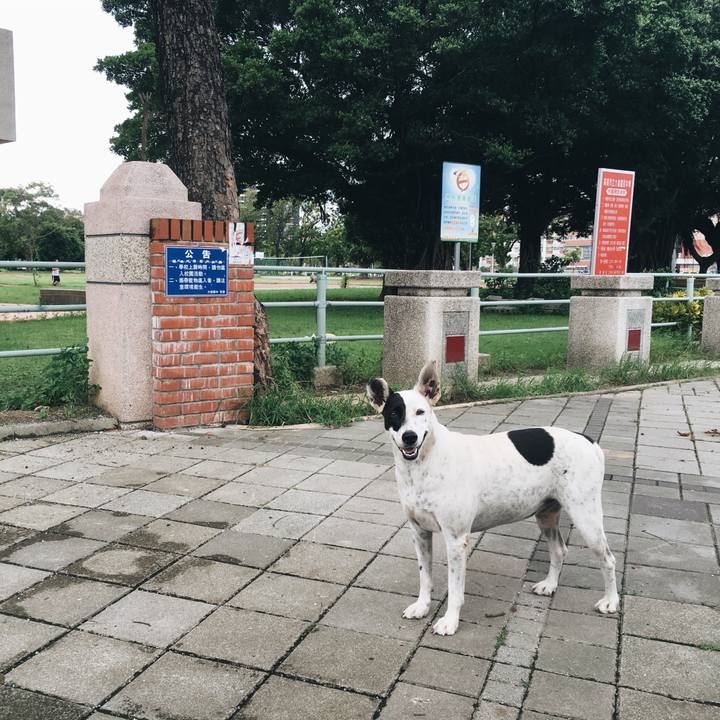 654a9ef9 9a56 4cd4 a763 f755fc9eca8e