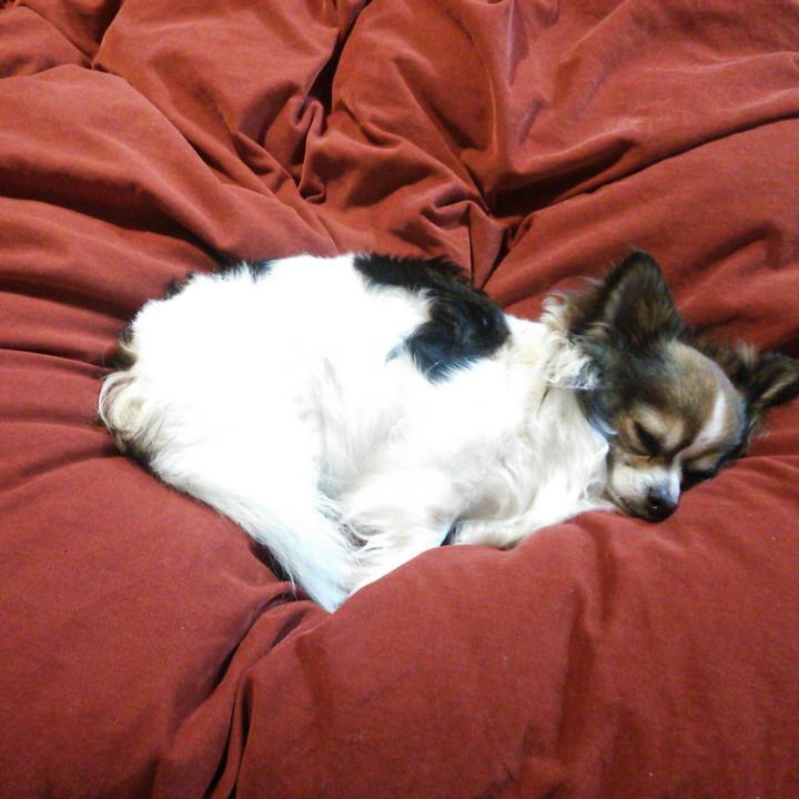 654abb50 86a7 41d4 aec7 c000fe50ba48