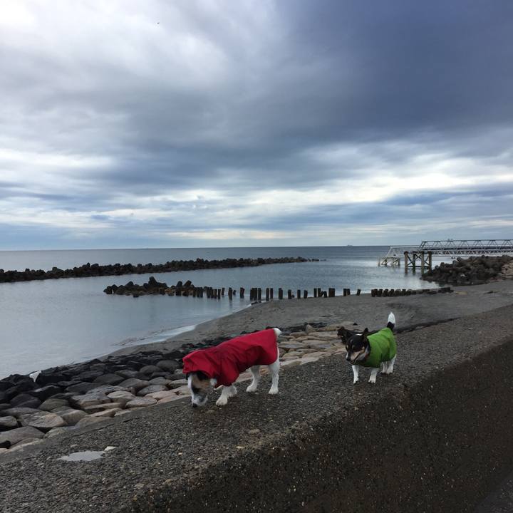 654ae270 aa1f 4cca aac6 c7318260363c