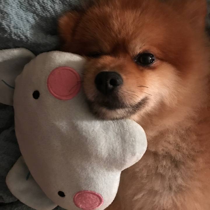 654bb828 44ae 4d27 a84d 4d891e95ea23