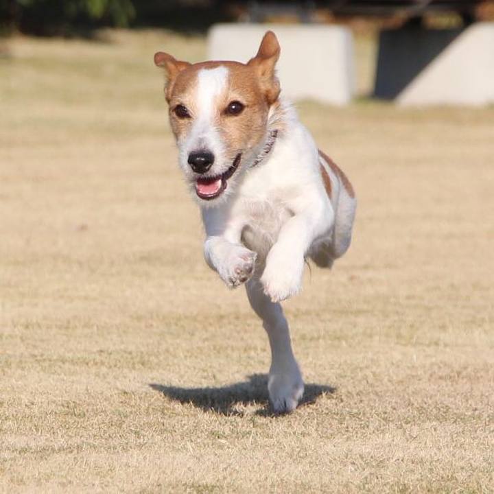 654bcd06 86cd 42e4 9c7a d3d672772e18