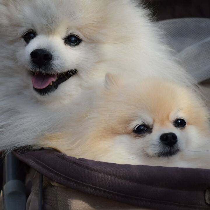 654c85ea b943 4575 ab7c 1afefb639af7