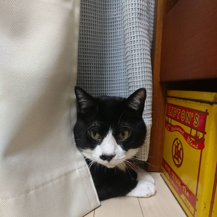 654d26b4 29a3 4210 8ebd 28ca132ce140