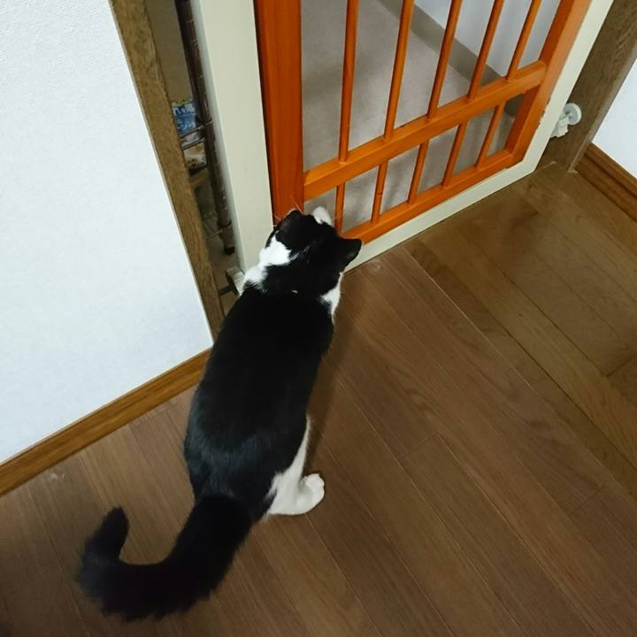 654d96c4 e3bb 4764 aa4f 951f77c9d84c