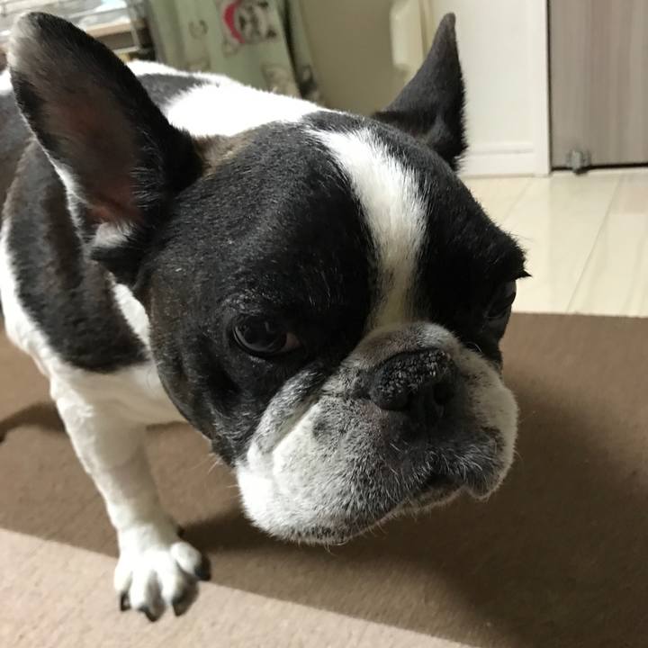 654d9fc9 a8b8 48c0 921c c76fa4f3df29