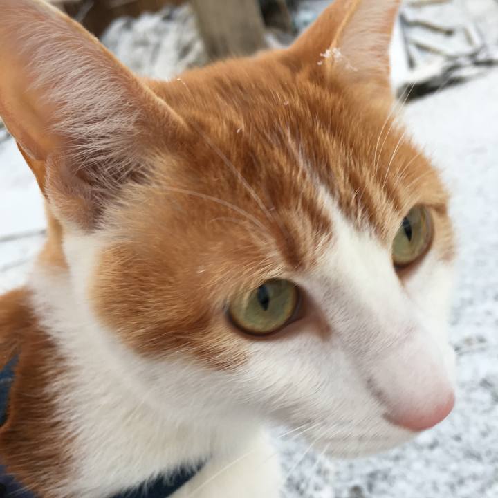 654db07b 965a 4750 ba76 70c10e4ac95f