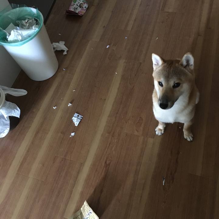 654db9f7 ef61 482a bf1b 29e6fedf6370