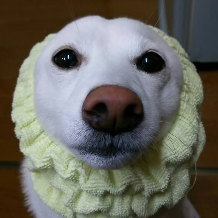 654dd82b d19c 4d7d 8b63 c21d061514d4