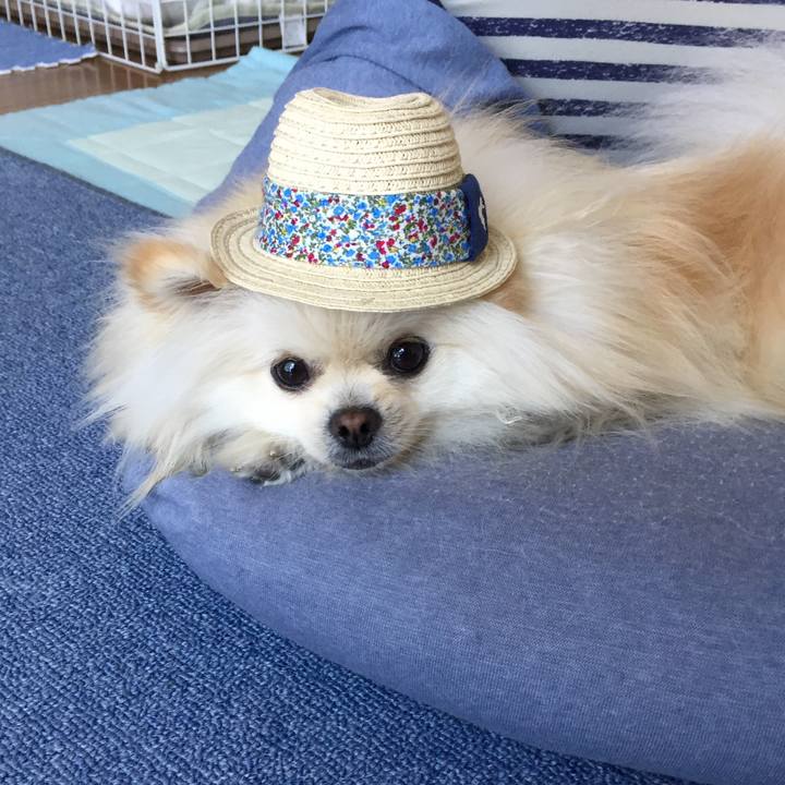 654e0a44 fb53 4f59 9d91 3e3290fa227d