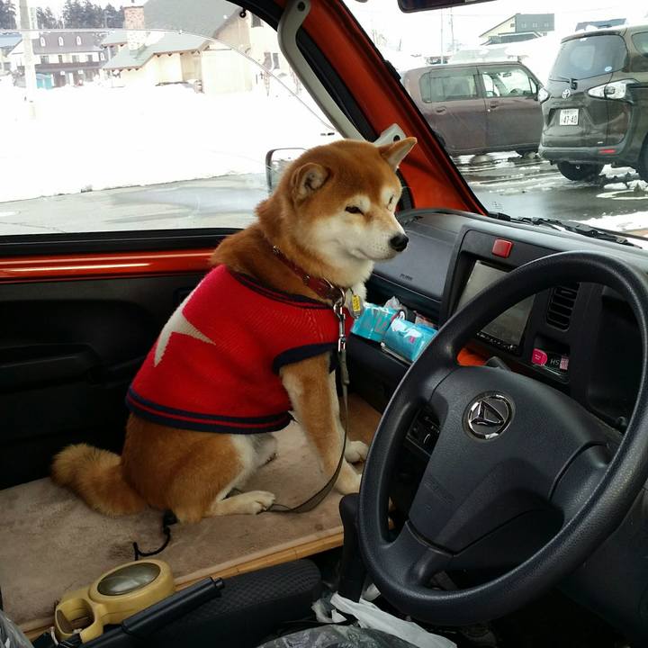 654e11bc 0217 469f b5f4 76484bf918f2