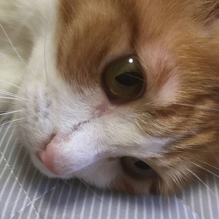 654fce12 bf8d 46cf 83d0 d90382a59c6c