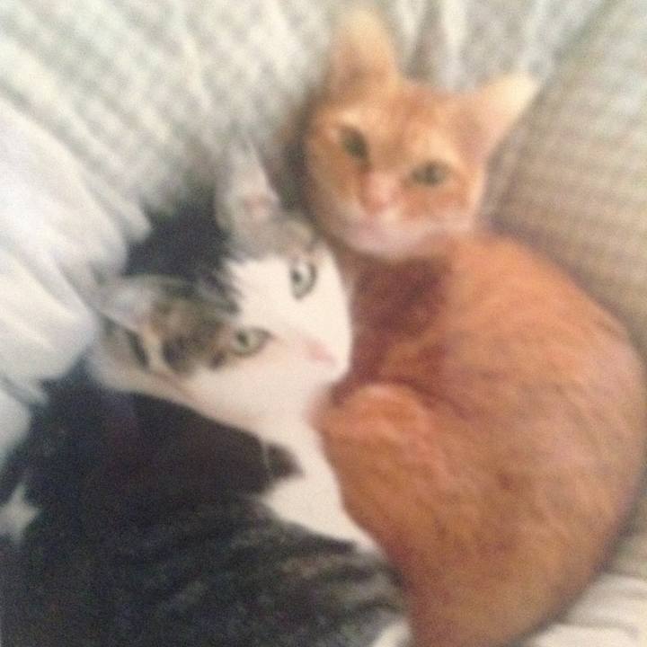 655017d4 a4f9 4620 b3b7 b24d5464c76d