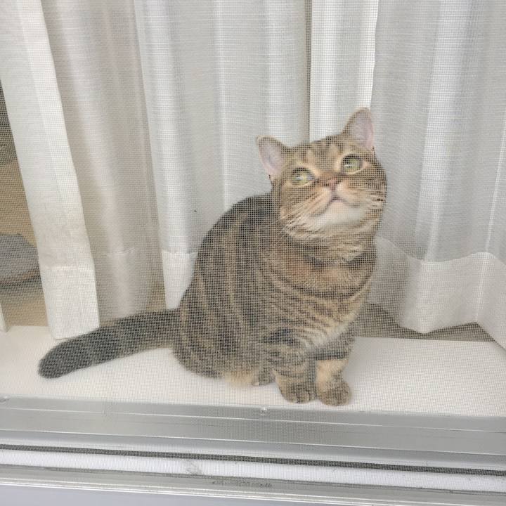 65503946 527b 41b5 9df9 4b4fdedbbfd3