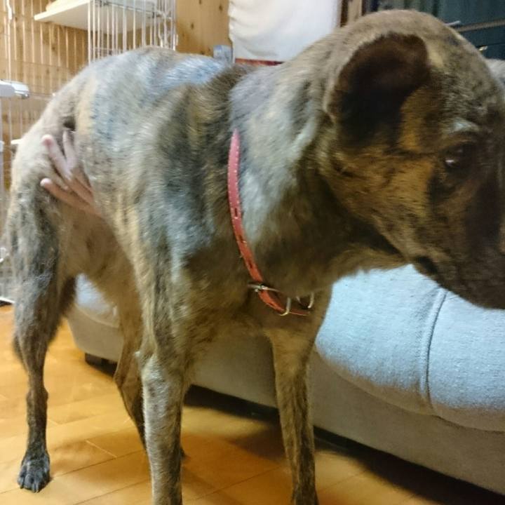 65504722 4e56 46ad a638 0c62460f29dd