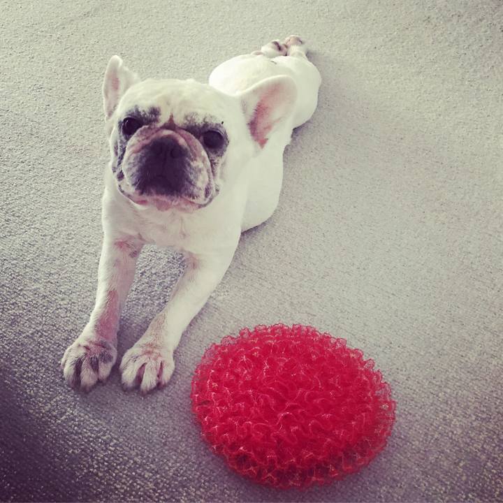 65505c93 cddc 47d9 a0e9 96e6ffb35b08