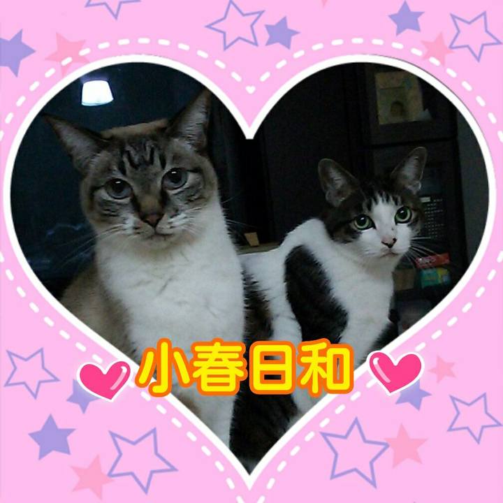 65507d8e 540d 4de7 a406 e7192650a9c4