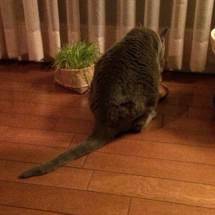 6551efde f35e 4bcd 82fe 57470bfa58da