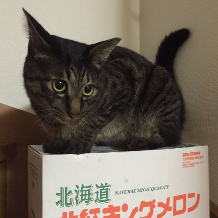 655271cc 833e 4466 8069 4bd8d7306a6f