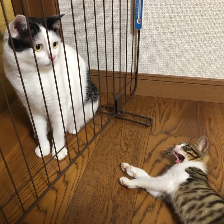 65529e49 459d 4884 a01e 785ee375d5f1