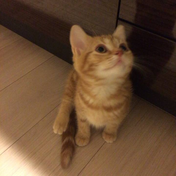 65532bb3 b6d0 4d5f 847d 45a6f5ca24d4