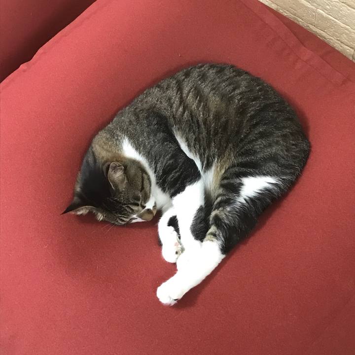 65533f2d 28b2 4463 8465 4c27a691dbd4