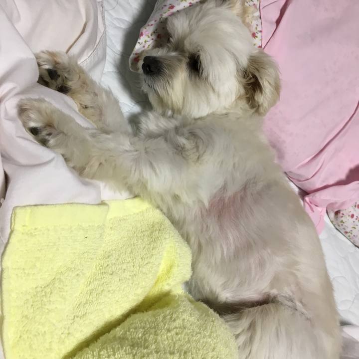 65534173 785b 4299 a53e 0040b386b438