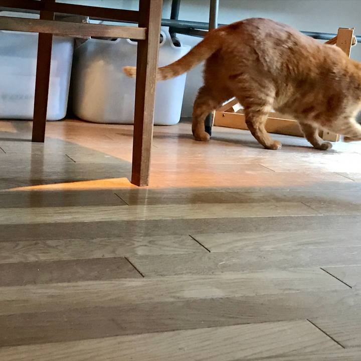 655383a0 1a05 4653 8f2f a8b5cdcd474c