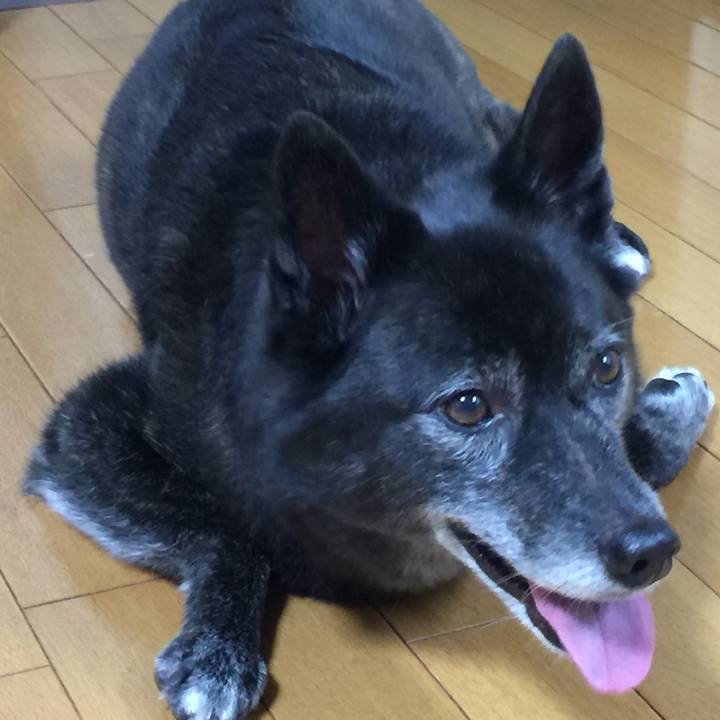 655422e8 4359 4813 b0c9 982183902894