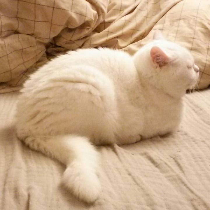 65549dc9 2b58 4c53 b789 569e1de247ee