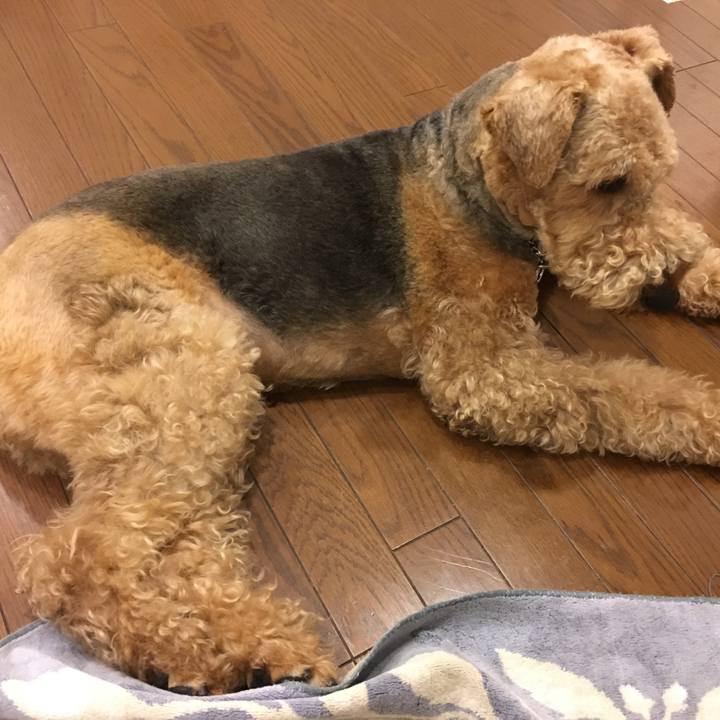 6554fda3 06db 4ba6 9370 c8d5a726ea53