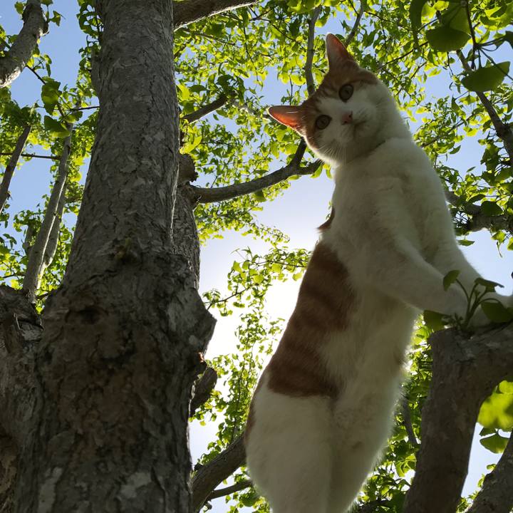 6555006f 76e6 4967 aa9e 546a879db55a