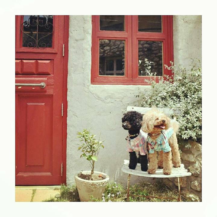 655580ea 1fb2 4d28 aedf d06231d28ba1