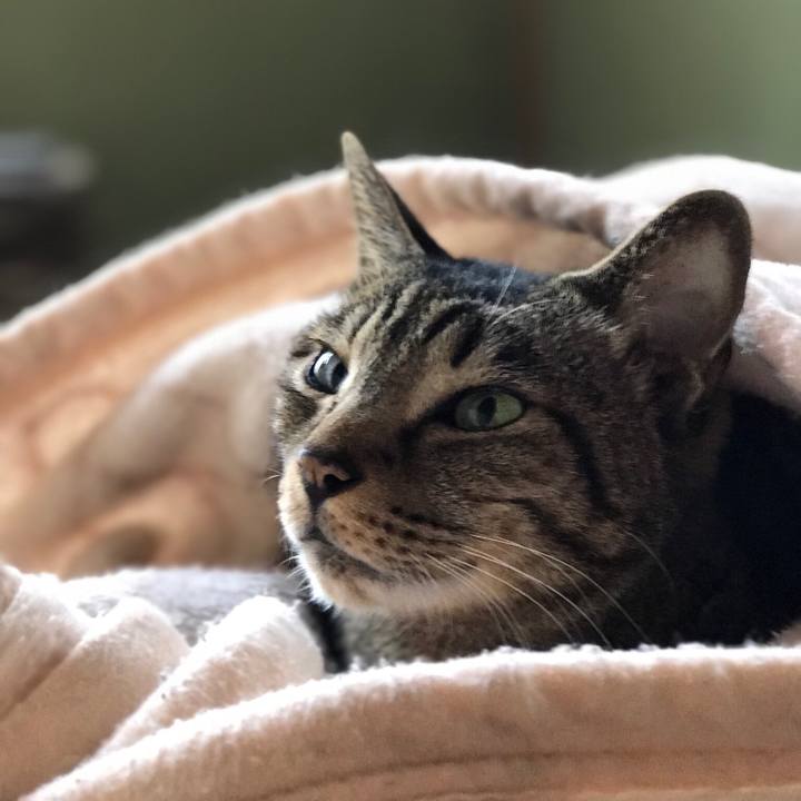 6555ba08 27ec 4294 aab6 81e927db6b28