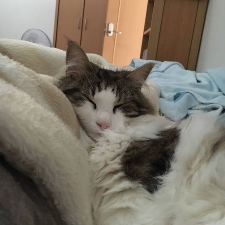 6555cba6 5b91 4ec7 afe3 699f7ca9452e