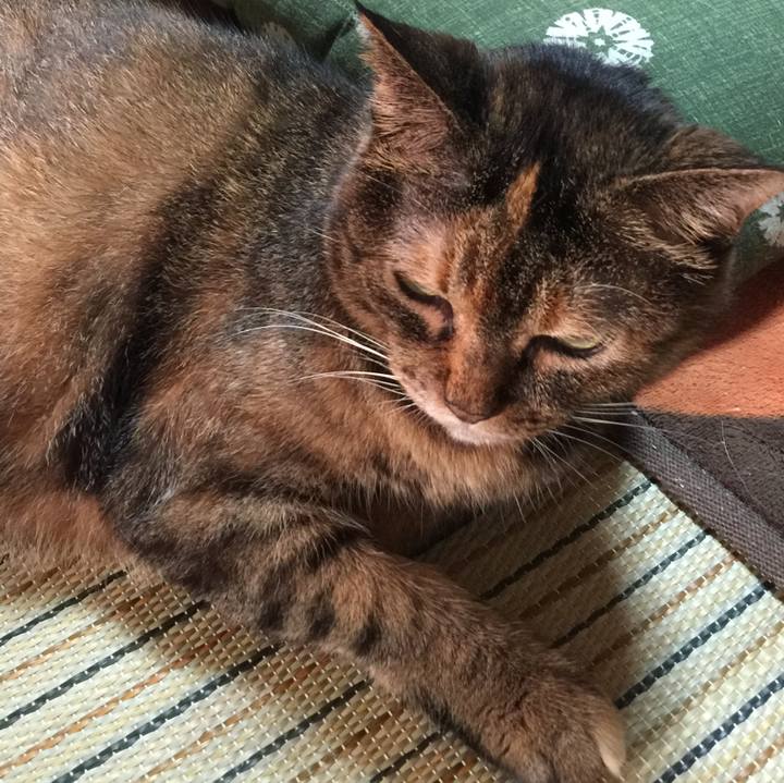 6555df79 a4cb 4d99 ac74 afc5f61c767f