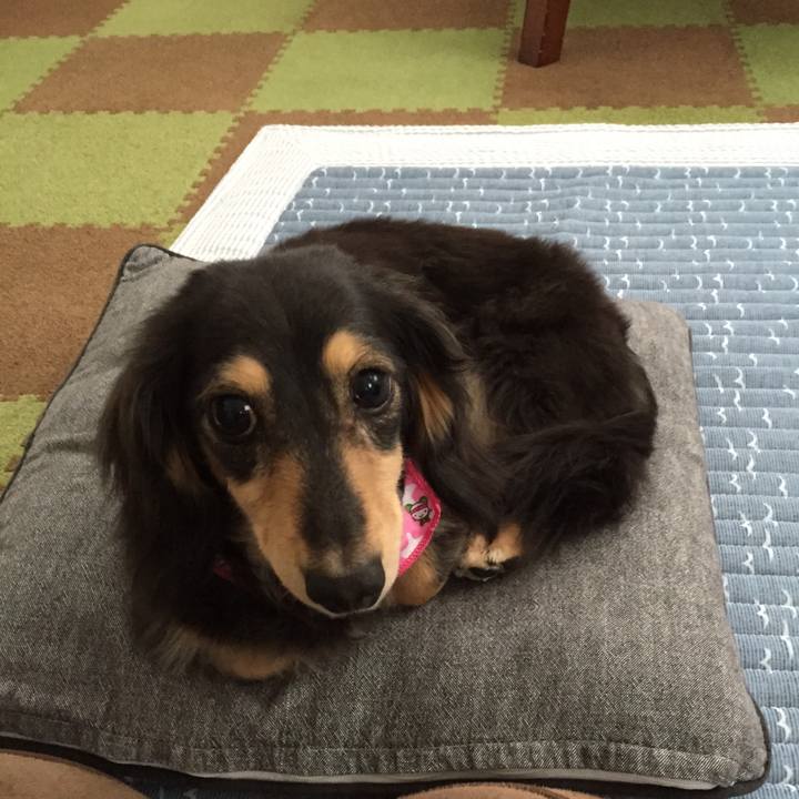 65565828 5734 464f 8524 1be0a2a45031