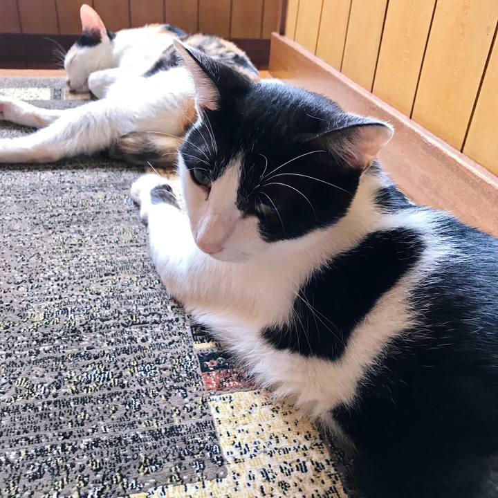 65565908 3b9d 4be5 9e45 923e01e5ca86