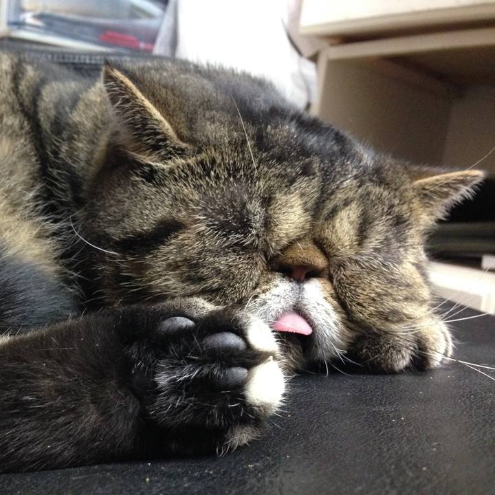 655669ae b3fb 481a afd7 d4a8ec6b99a8