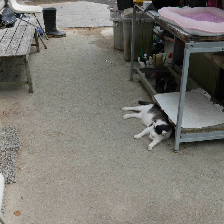 65575a89 ddaf 43d0 8c8f 32dc948675cd