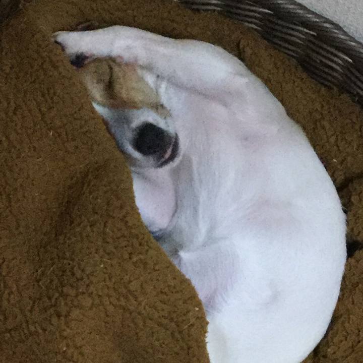 65577e1e 2907 4f1b bb54 c267d7876c2d