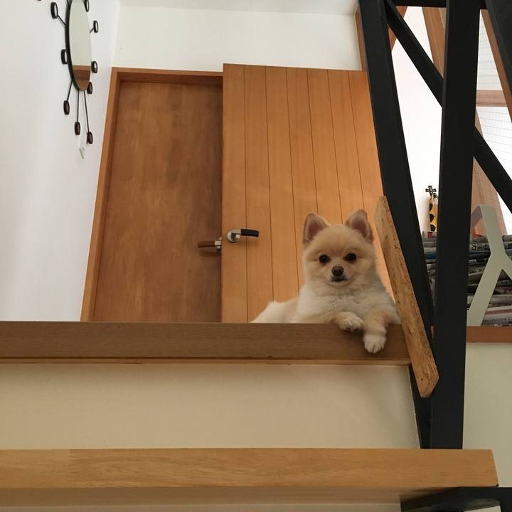 655848ea 9122 4260 83ab bc2b536a0228