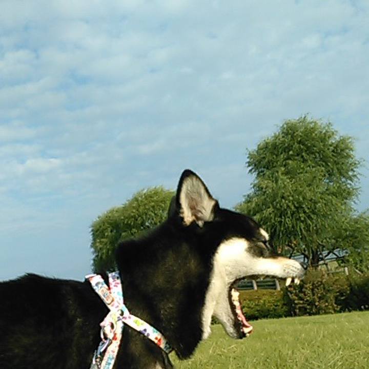 65585d8c ea91 49d2 8f18 b75549c7d287