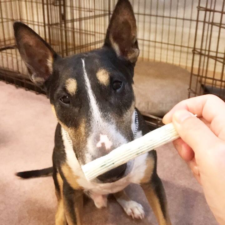 655866cb baa1 4151 89ad 4dcd21c4349f