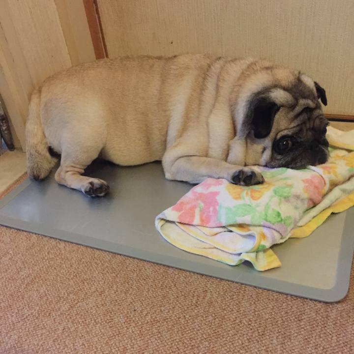 65599b94 e570 46de b3cb 642d9bf785b3